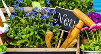 ... den Garten